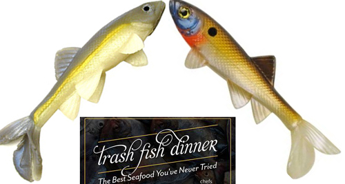 Trash Fish Becomes Gourmet Dish